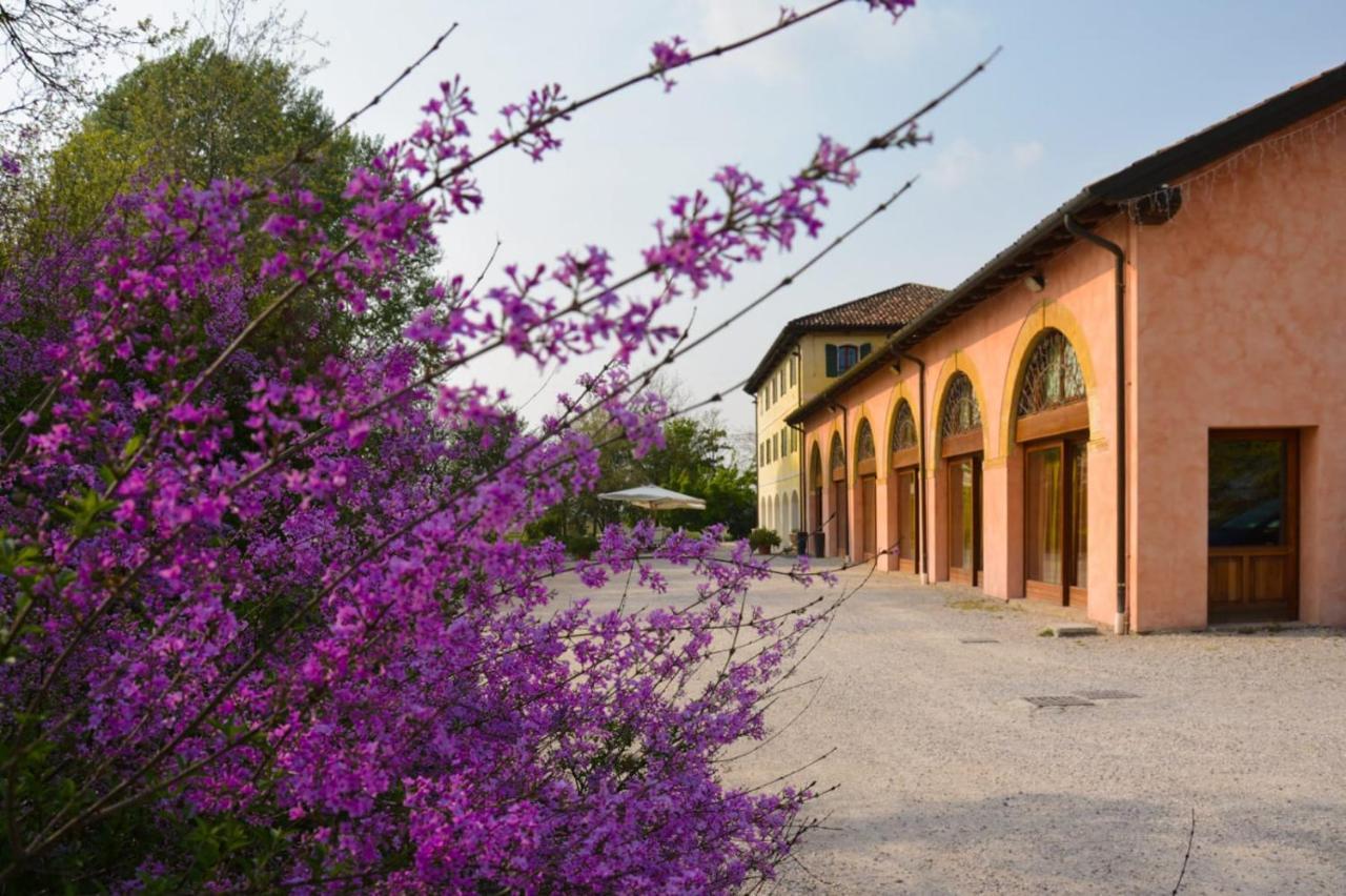Agriturismo Rechsteiner Ponte di Piave Kültér fotó