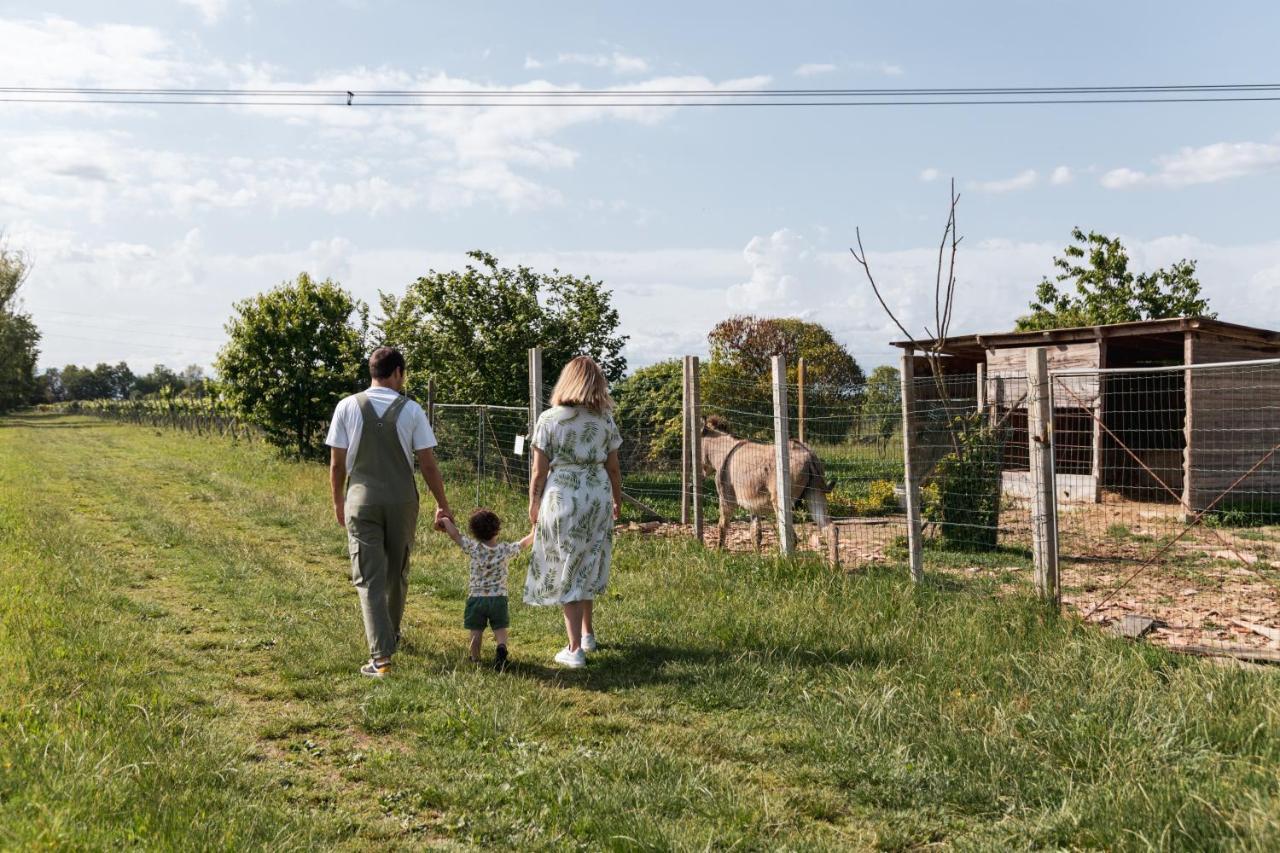 Agriturismo Rechsteiner Ponte di Piave Kültér fotó